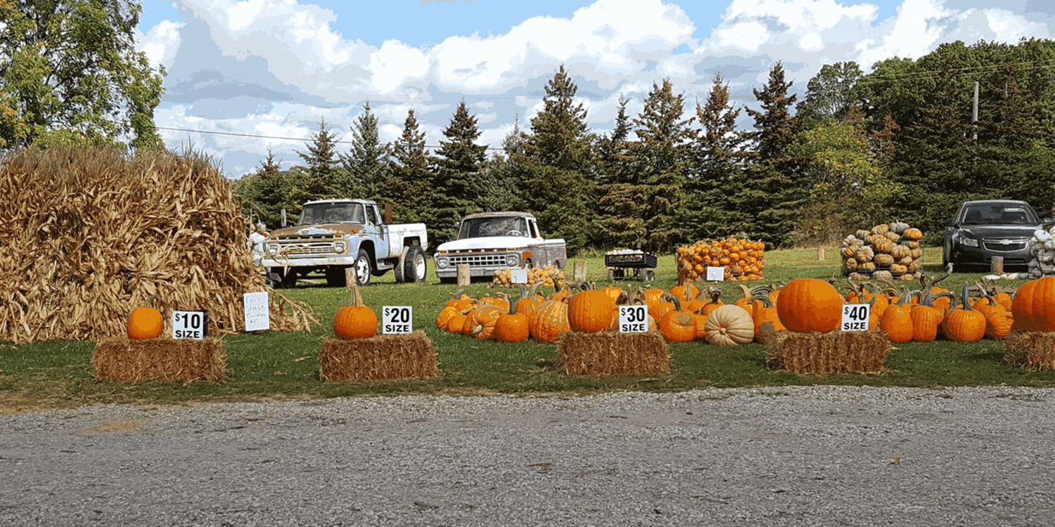 Wing Farms has been locally owned and operated for over 150 years.